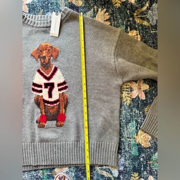 NWT Porridge Anthropologie Gray Sports Dog Graphic Sweater - Picture 4 of 7